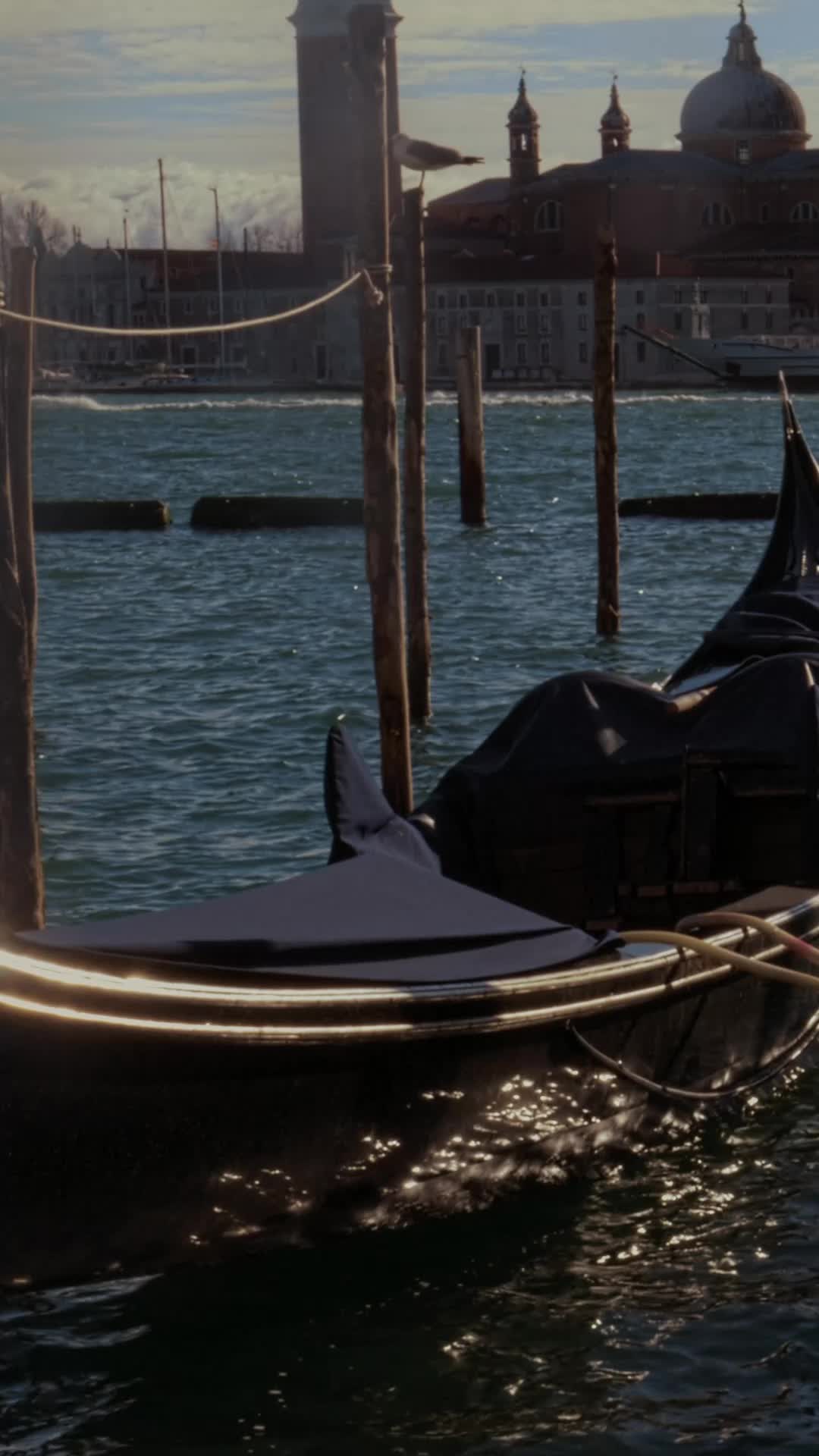 Canals of Venice Pack