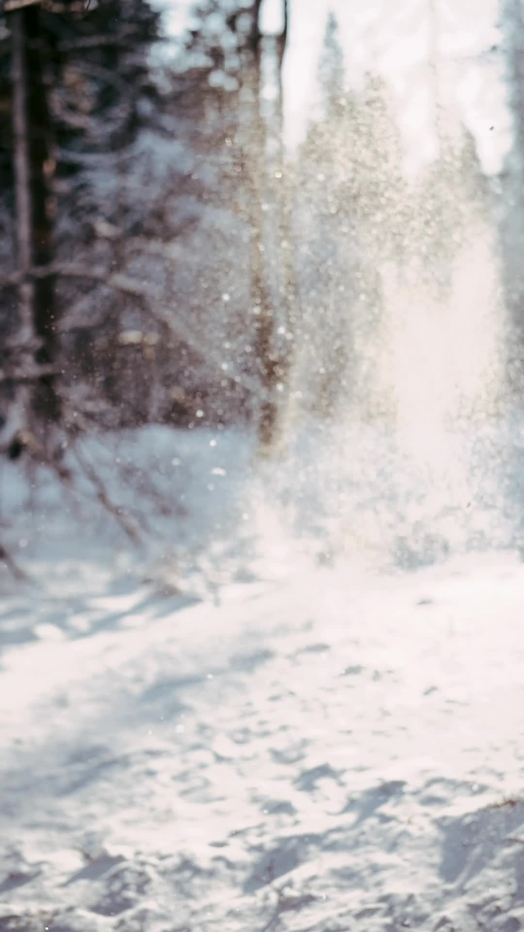 Winter Hike Pack