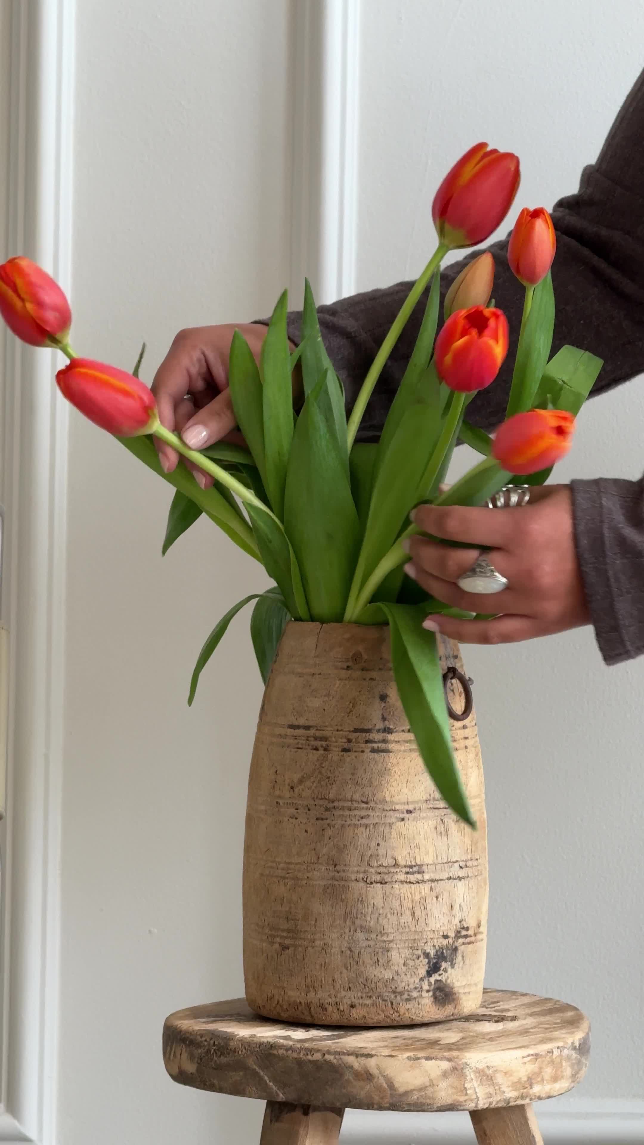 Spring Studio Pack