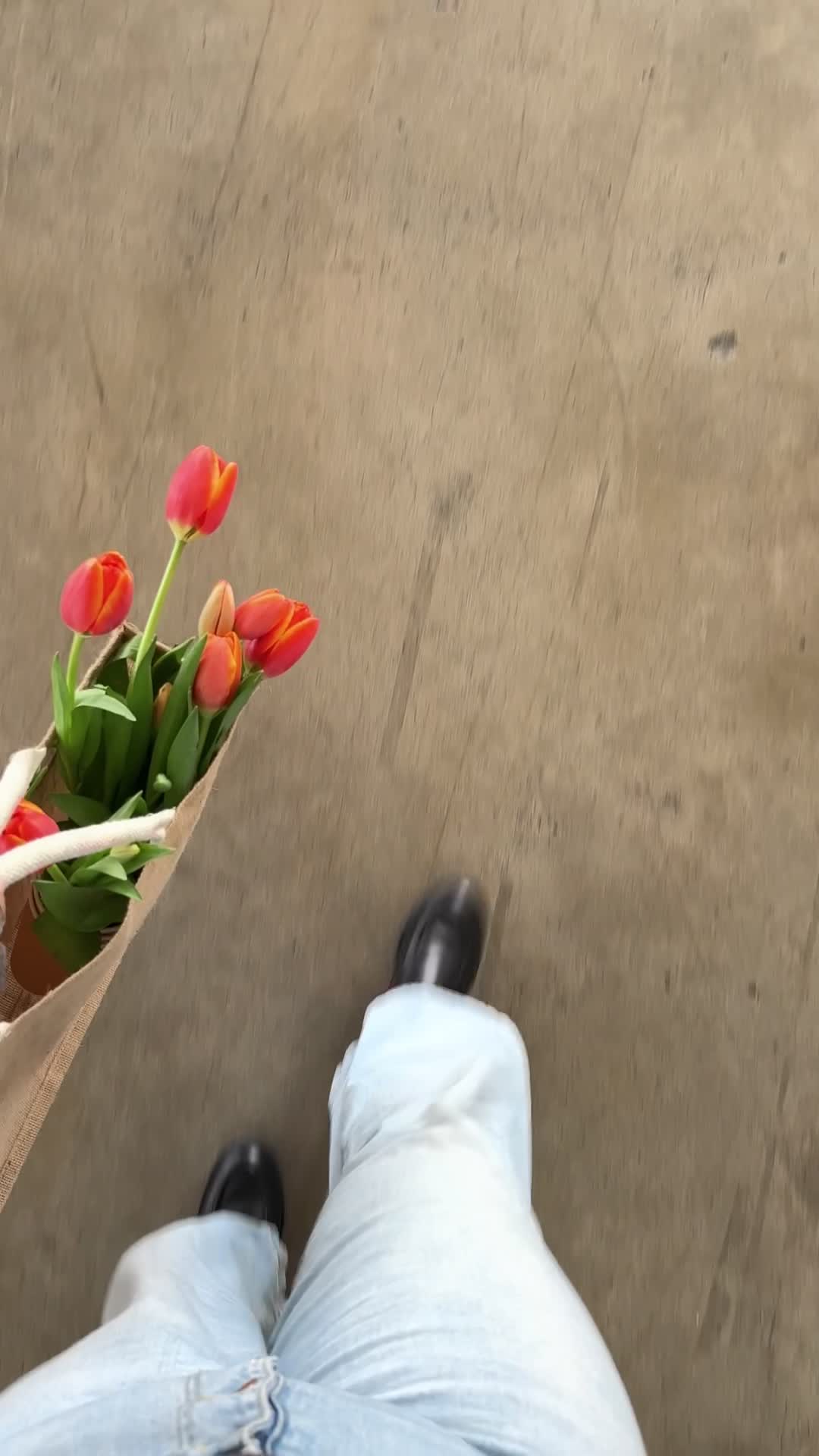 Spring Studio Pack