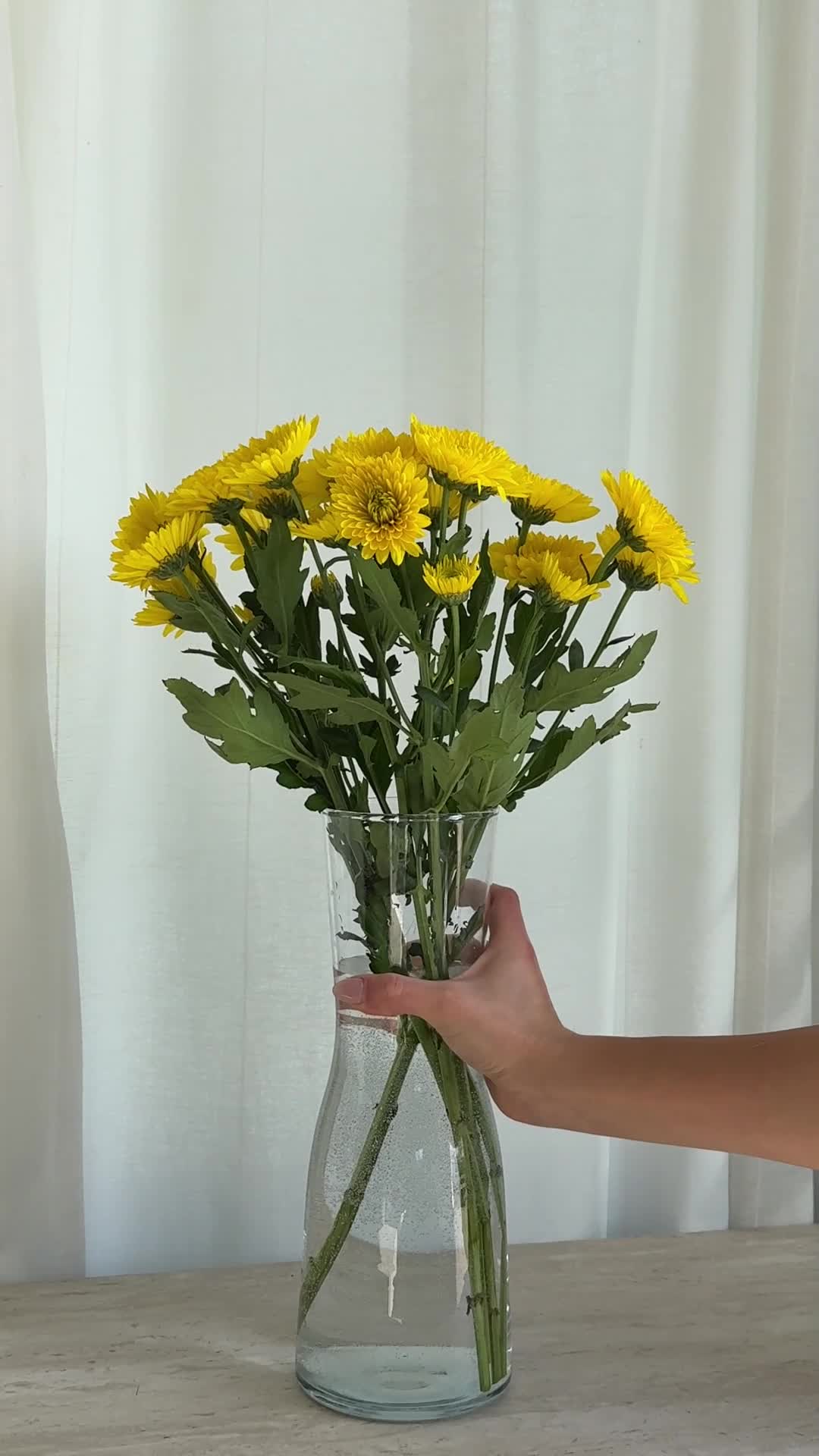 Sunday Blooms Pack