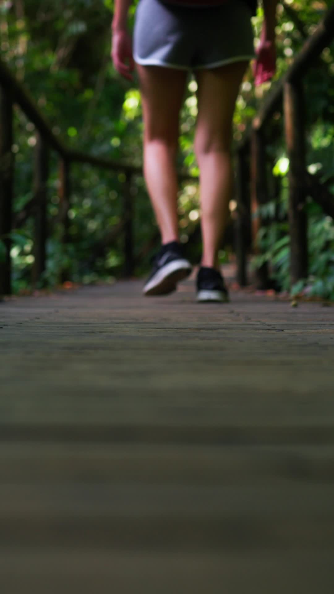 Costa Rican Jungle Pack