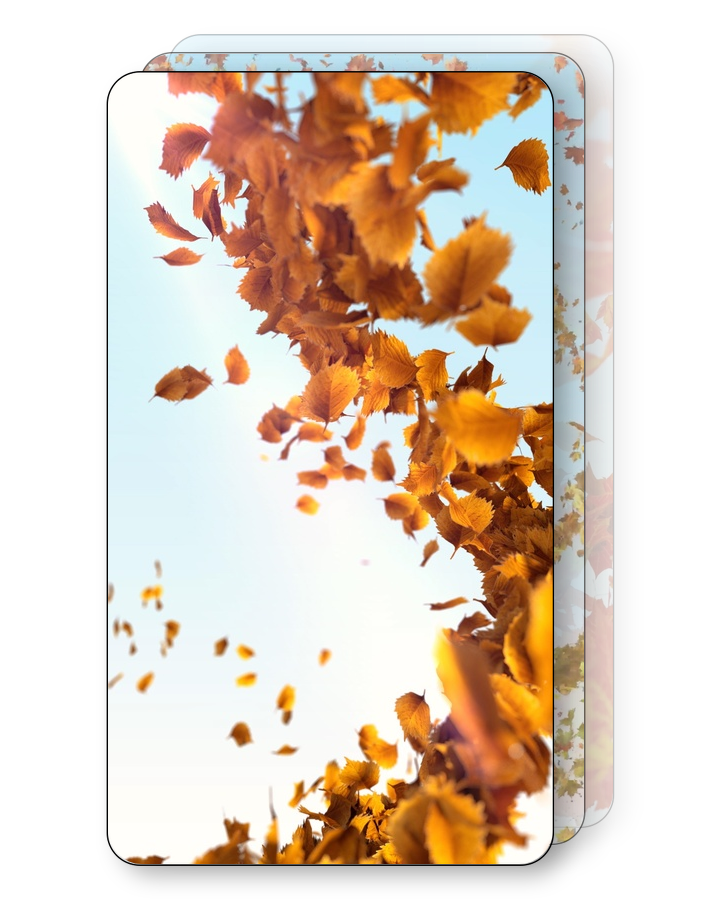 Windswept Leaves Pack