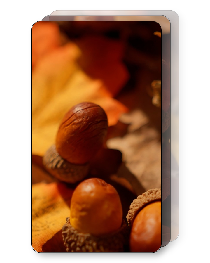Autumn Textures Pack