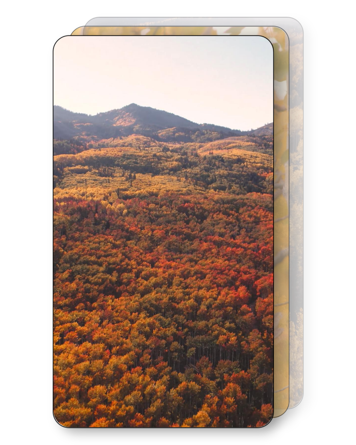 Utah Foliage Pack