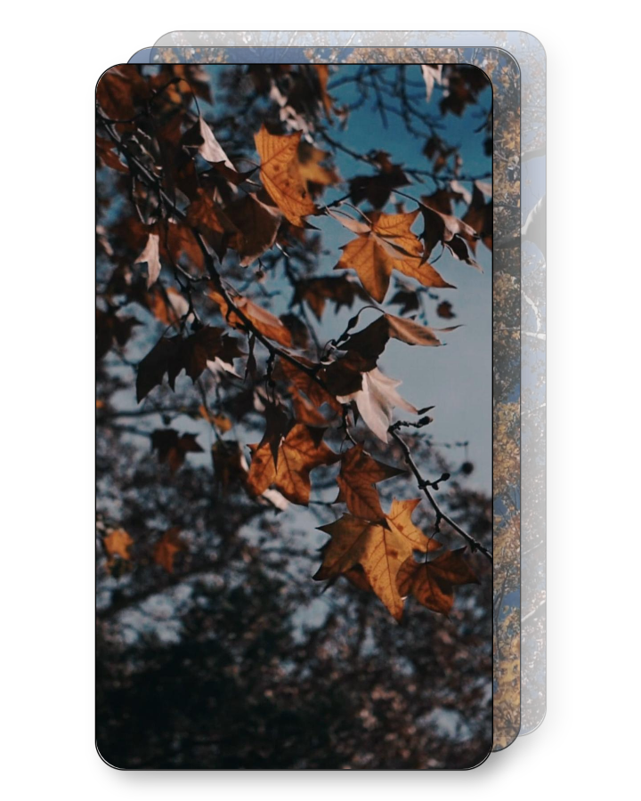 Autumn Leaves Pack