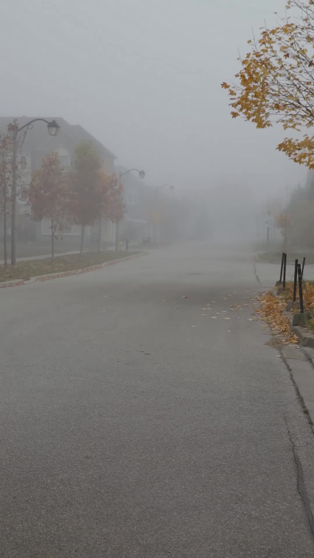 Foggy Autumn Morning Pack