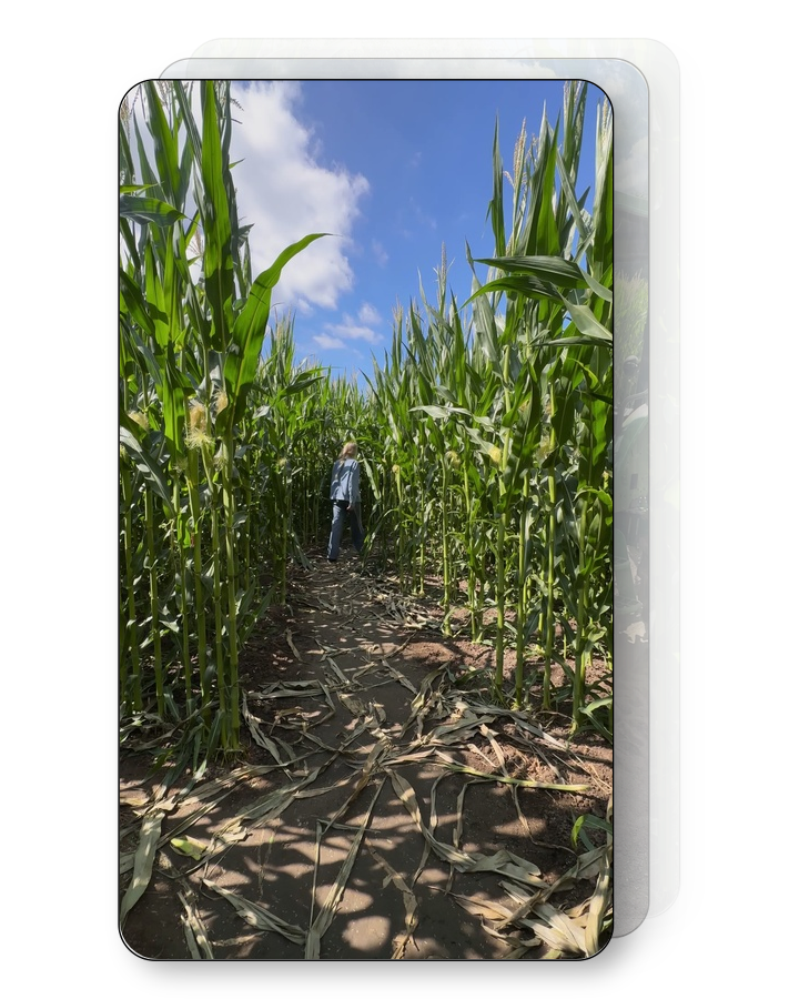 Corn Maze Pack