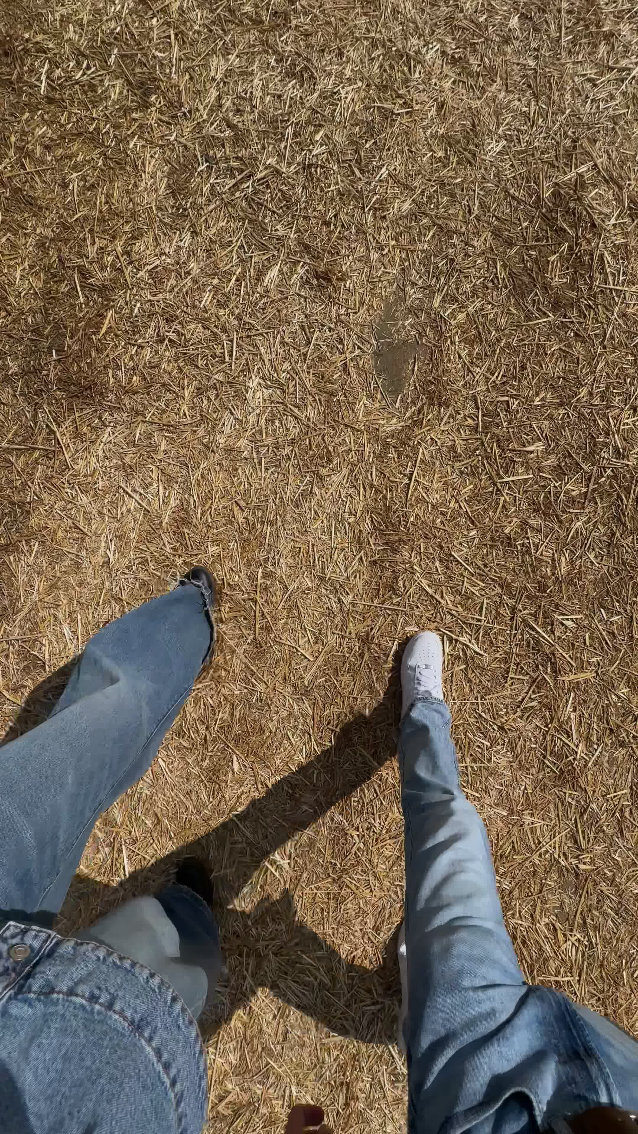 Corn Maze Pack