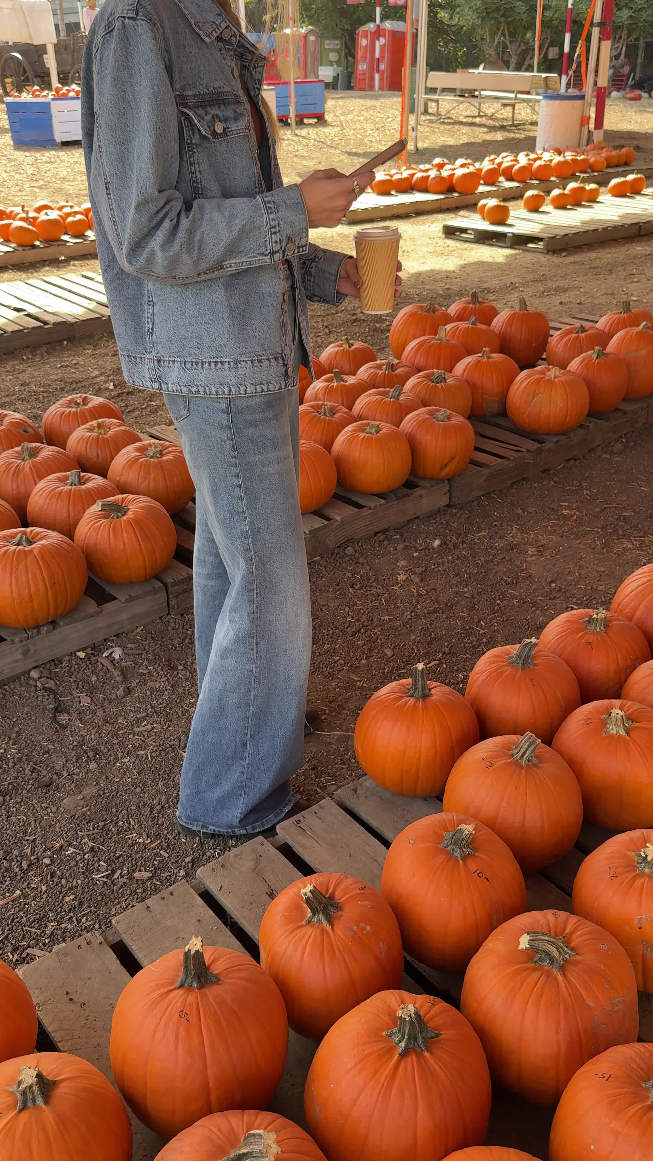 Pumpkin Picking Pack (Vol. 1)