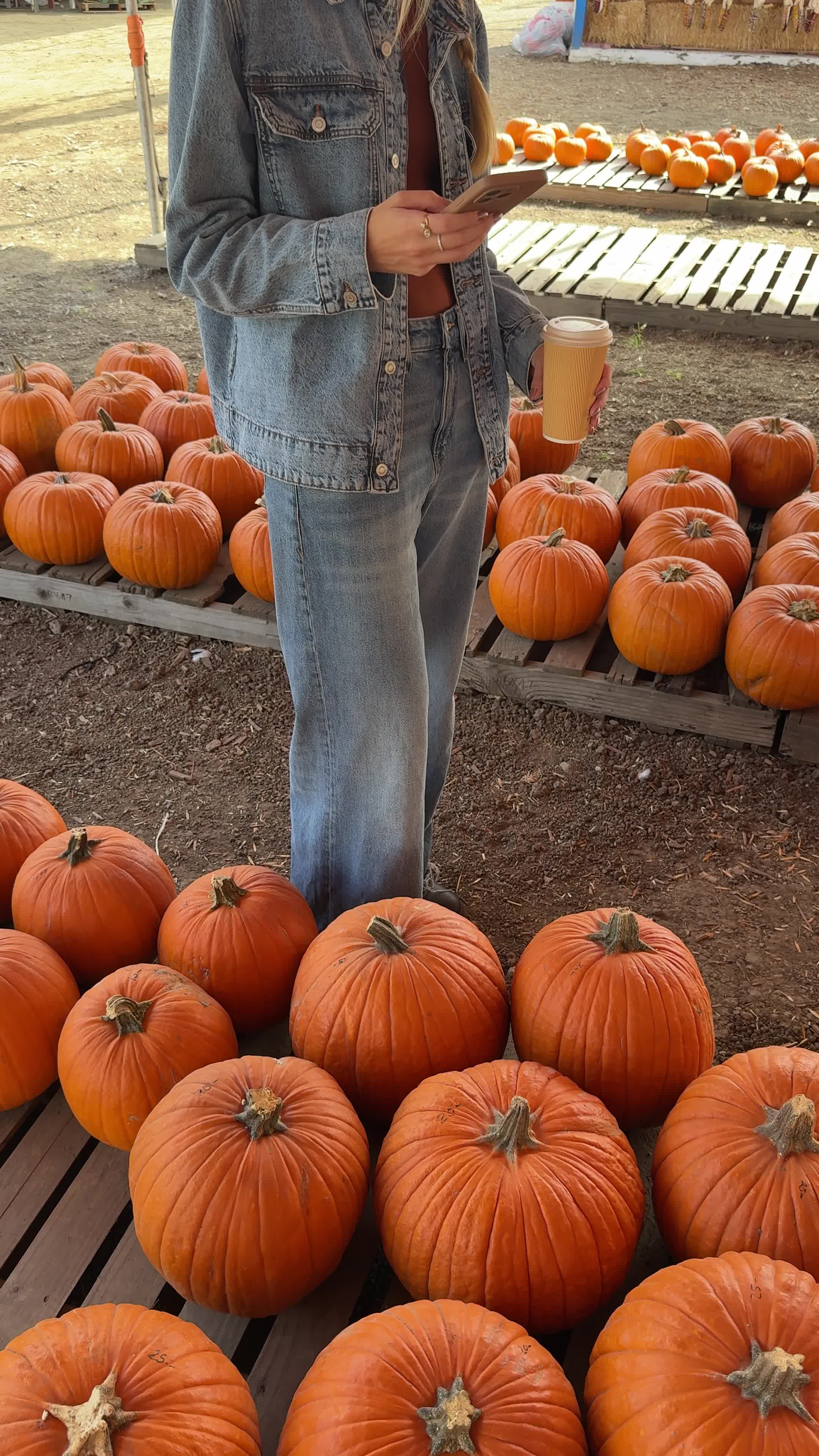 Pumpkin Picking Pack (Vol. 1)