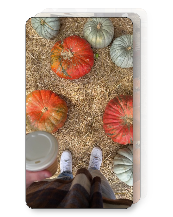 Pumpkin Picking Pack (Vol. 2)