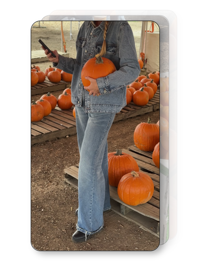Pumpkin Picking Pack (Vol. 1)