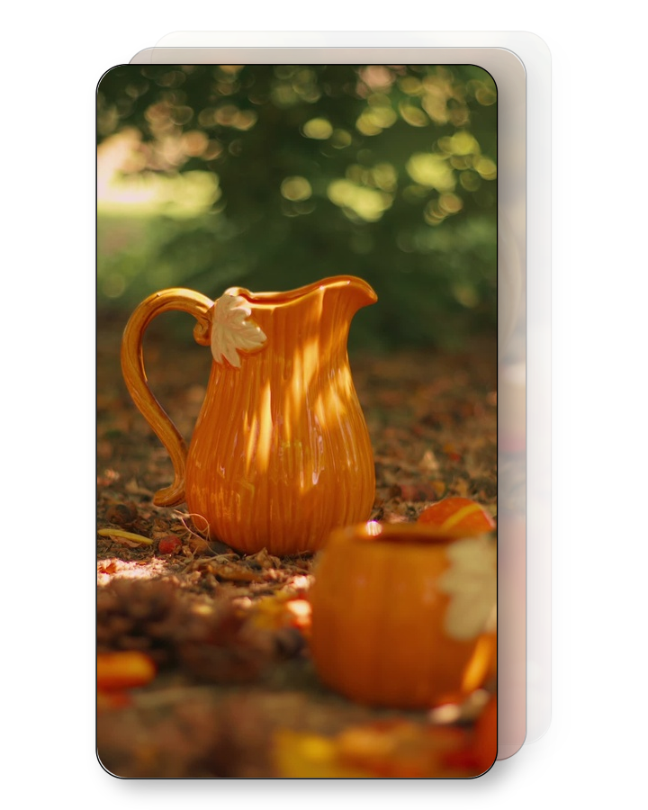 Pumpkin Pitcher Pack