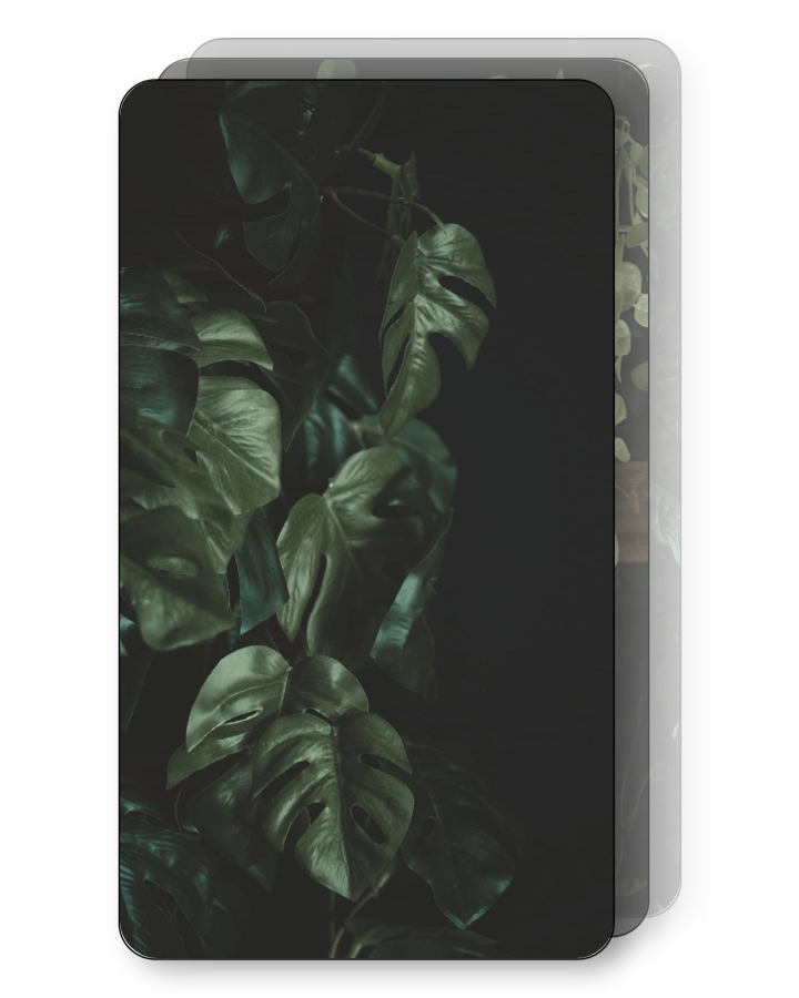Gloomy Greenery Pack