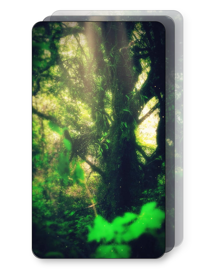 Enchanted Forest Pack
