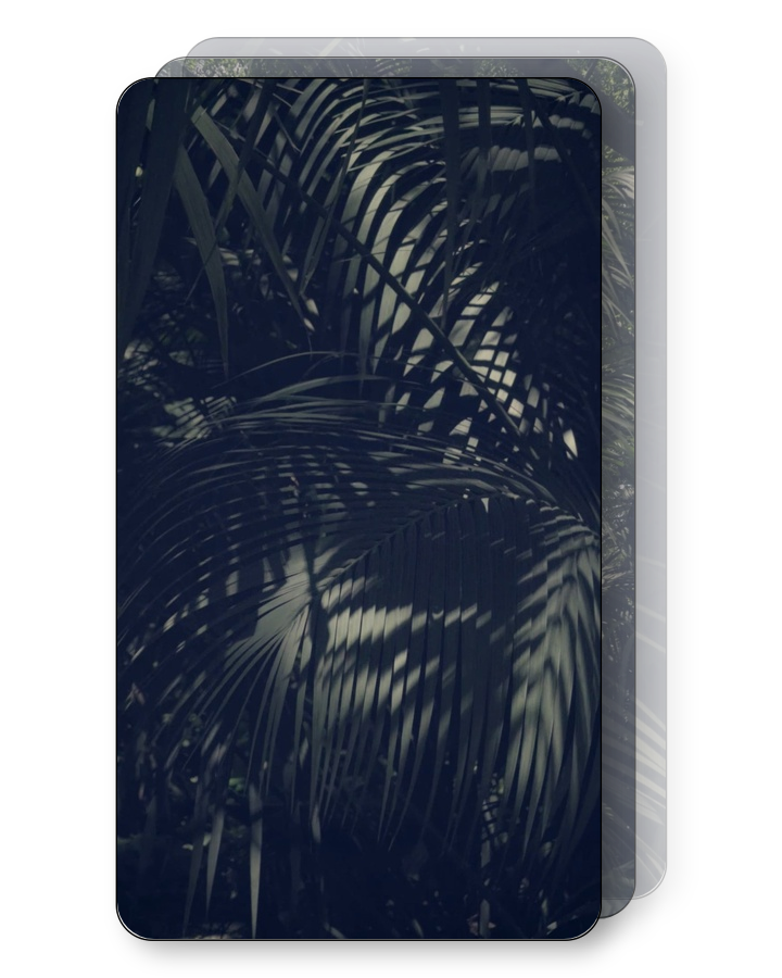 Gloomy Tropical Palms Pack