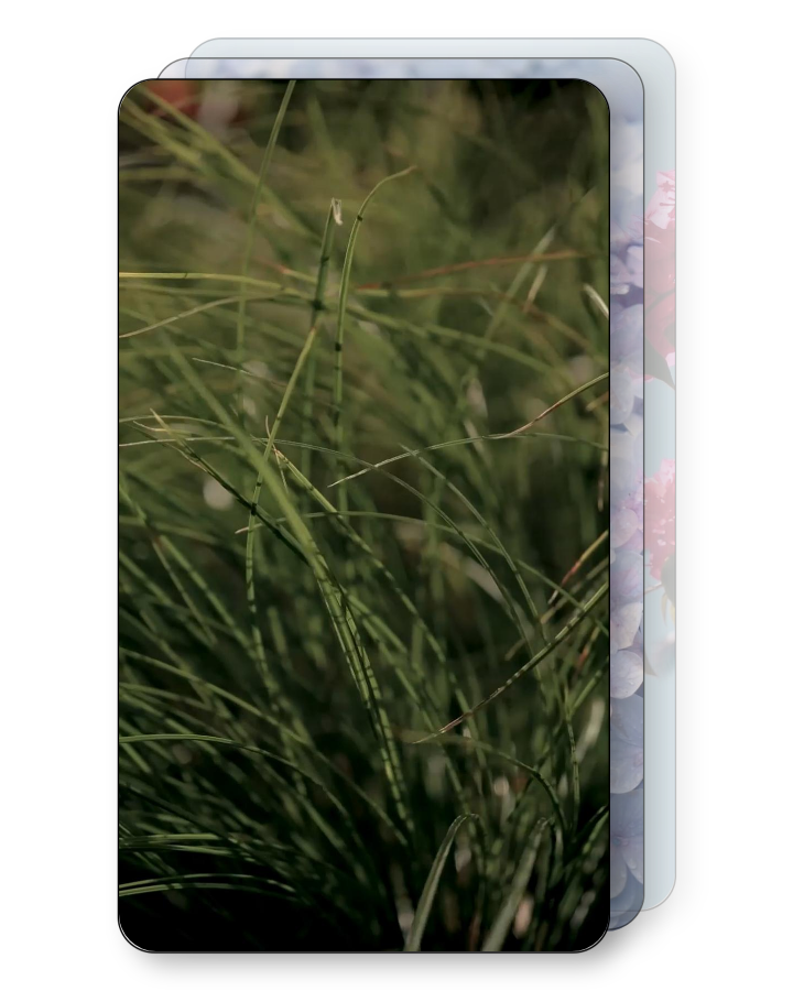 Natural Elements Pack