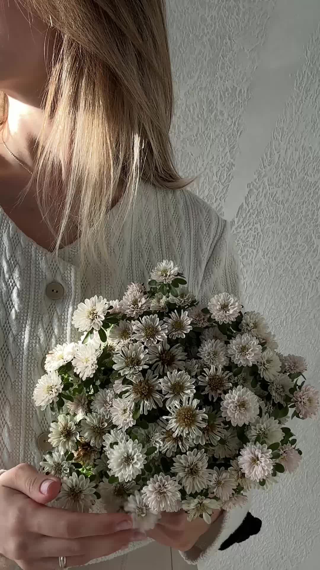 Home Aesthetics Pack