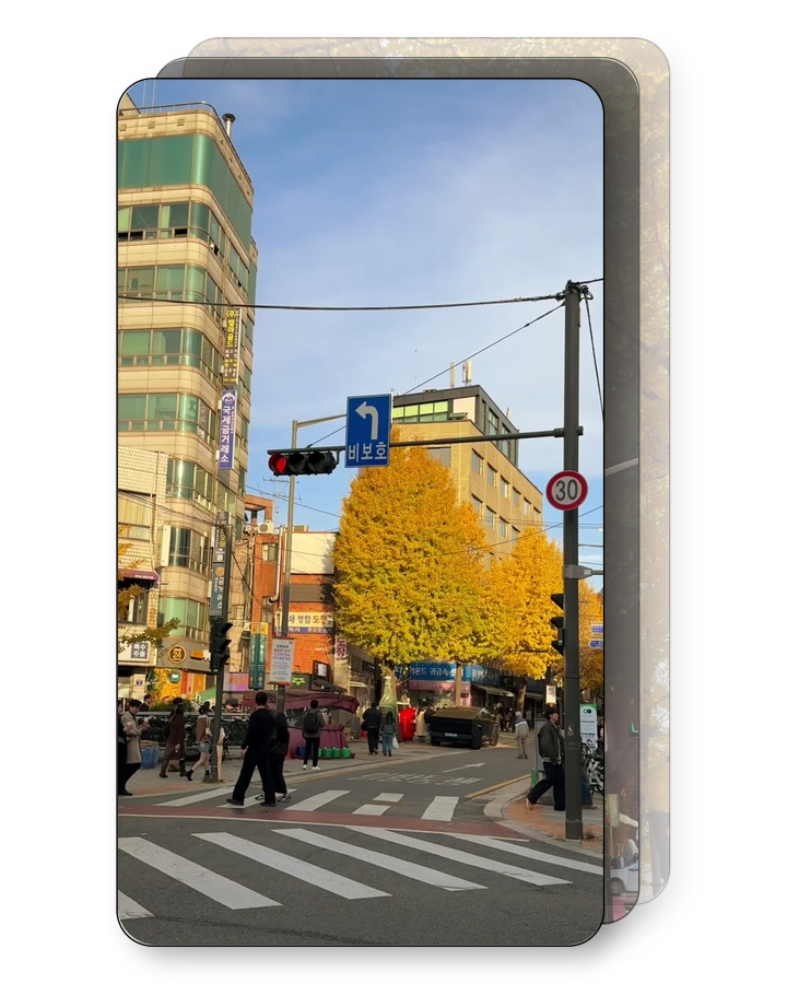 Autumn in Seoul Pack