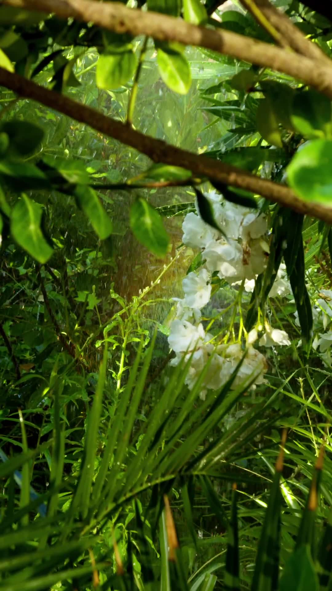 Glistening Garden Pack