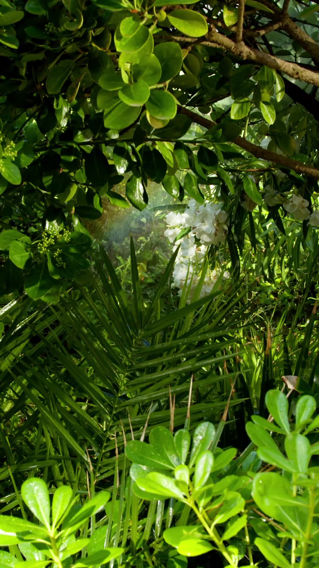 Glistening Garden Pack