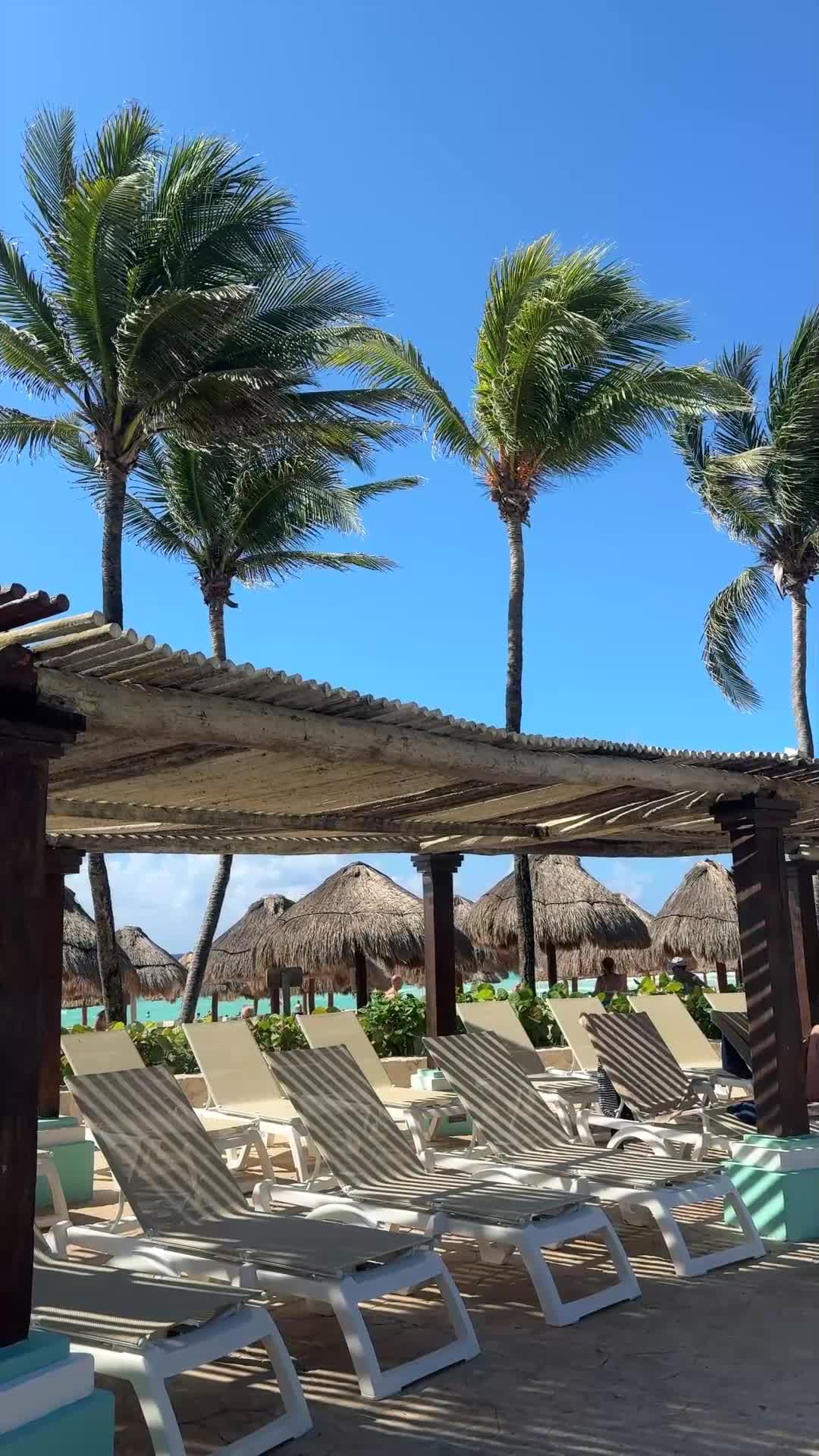 Tropical Retreat Pack