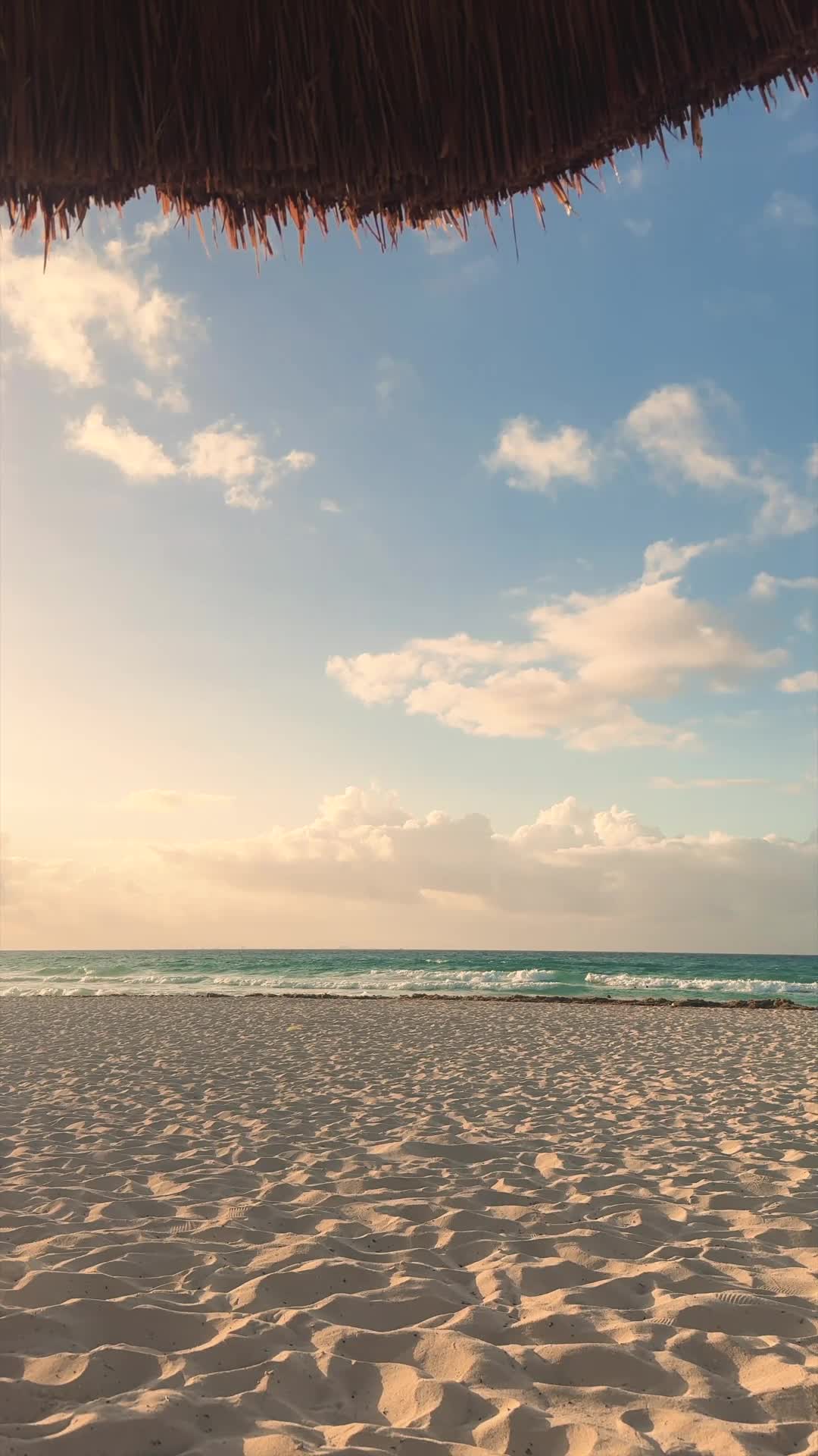 Tropical Retreat Pack