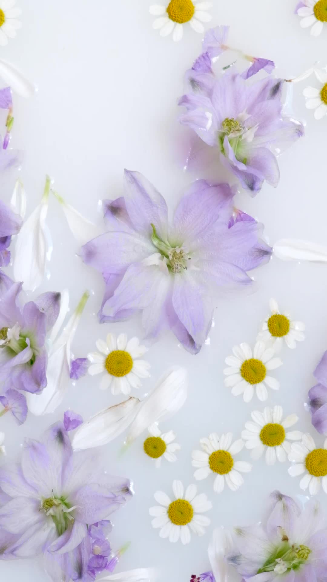 Vintage Flowers Pack