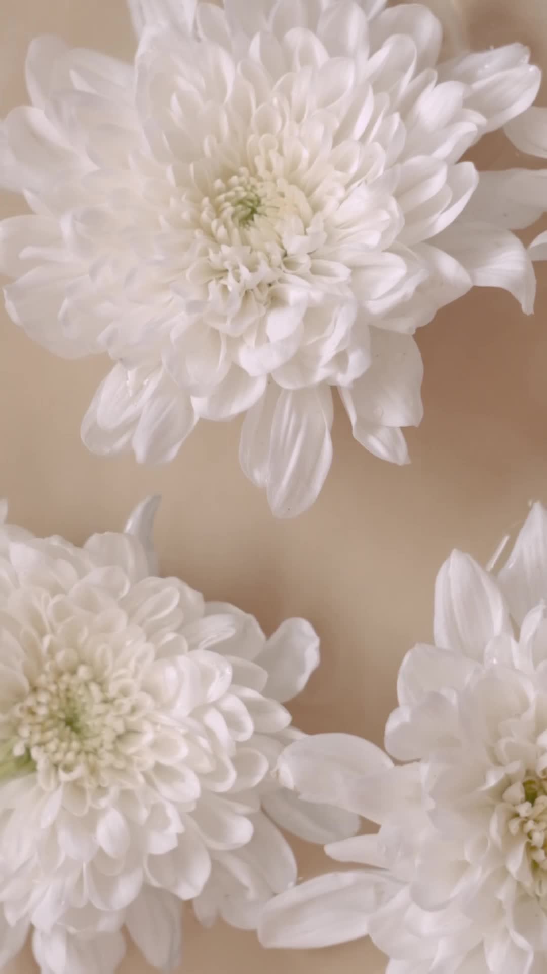 Vintage Flowers Pack