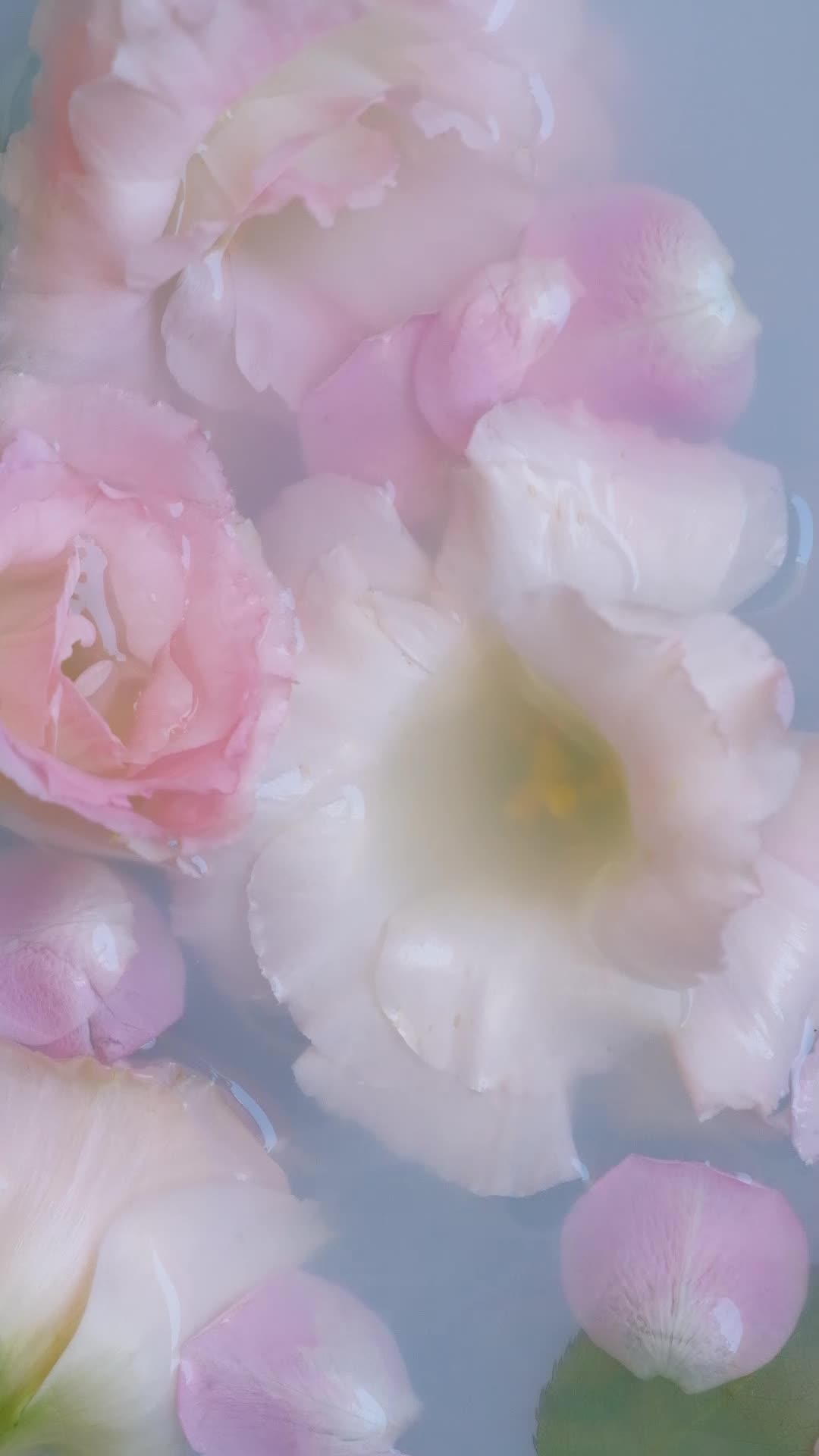 Vintage Flowers Pack