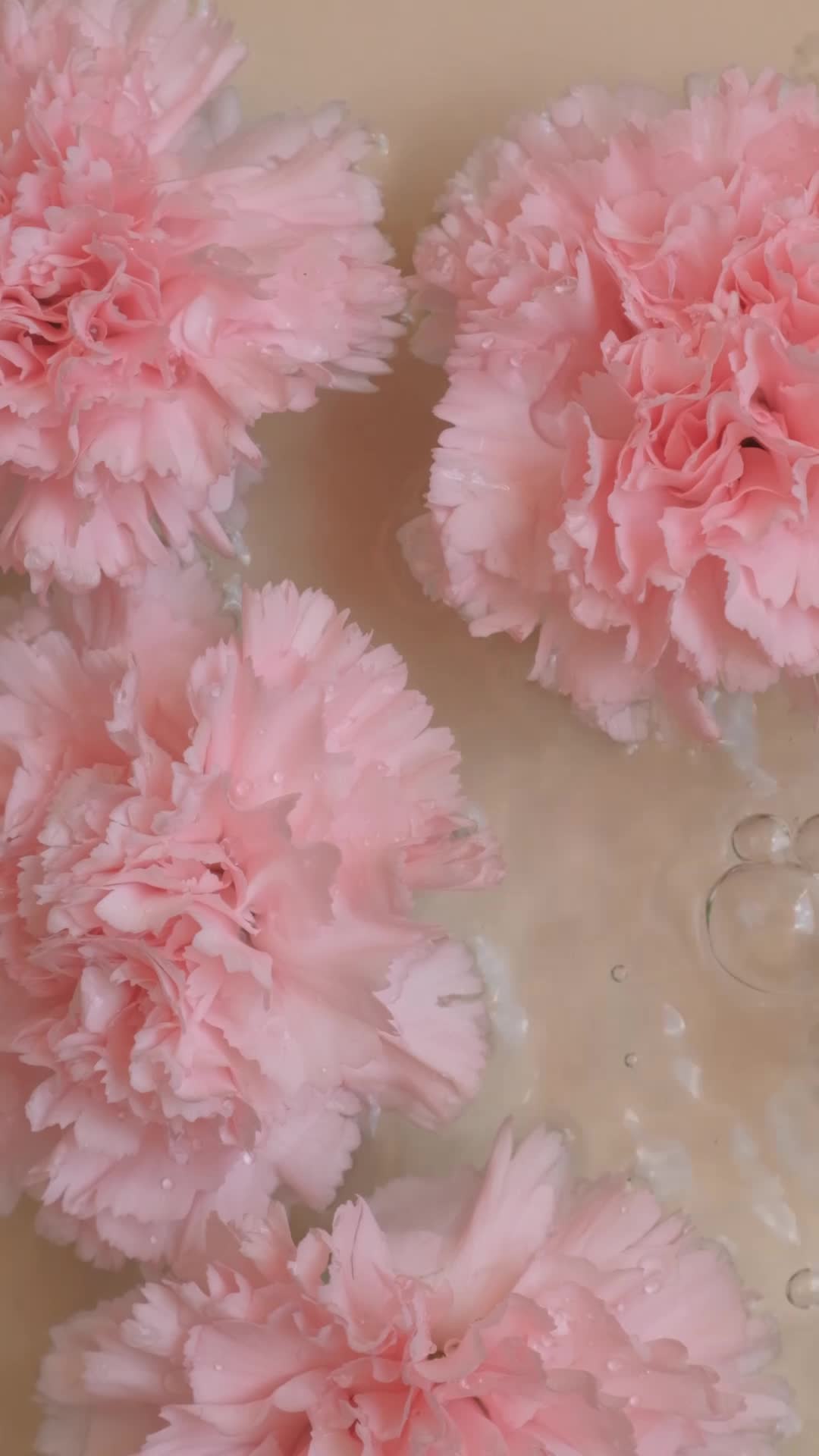 Vintage Flowers Pack