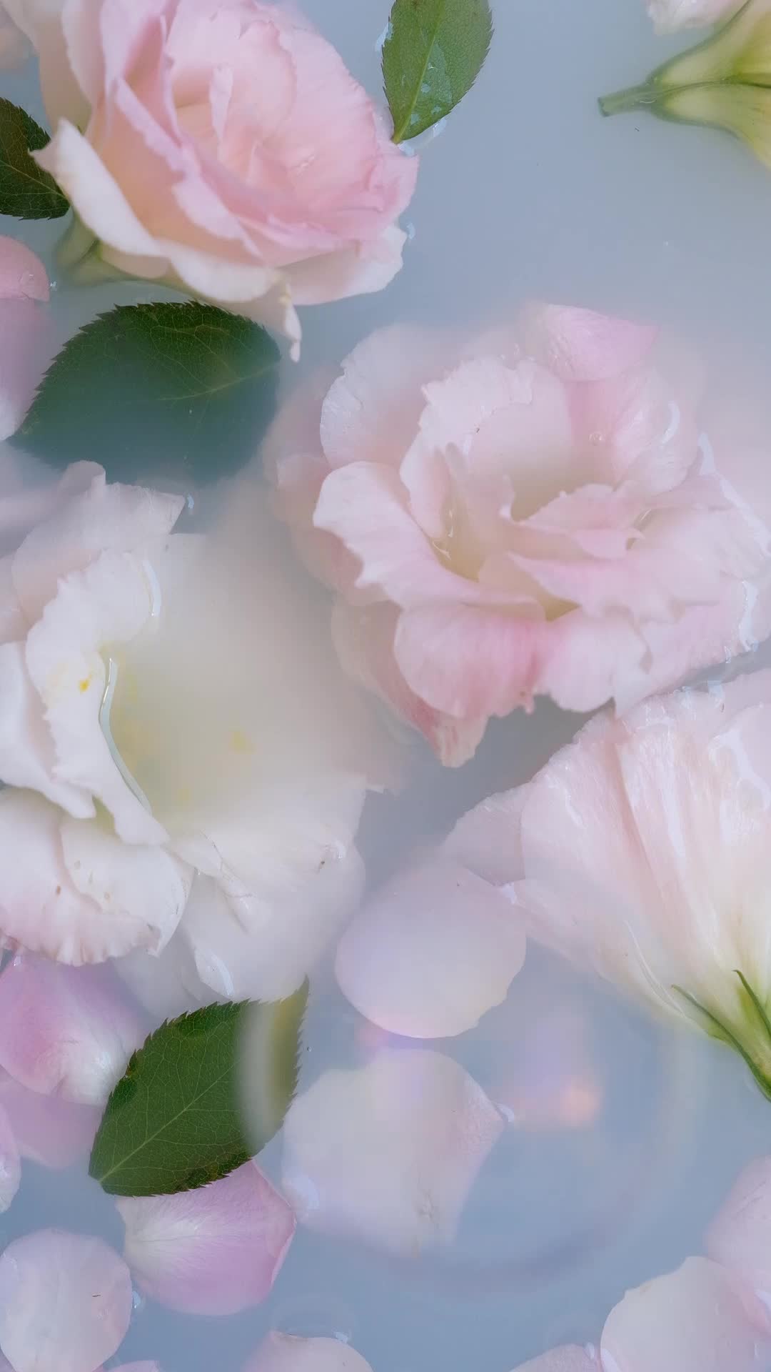 Vintage Flowers Pack