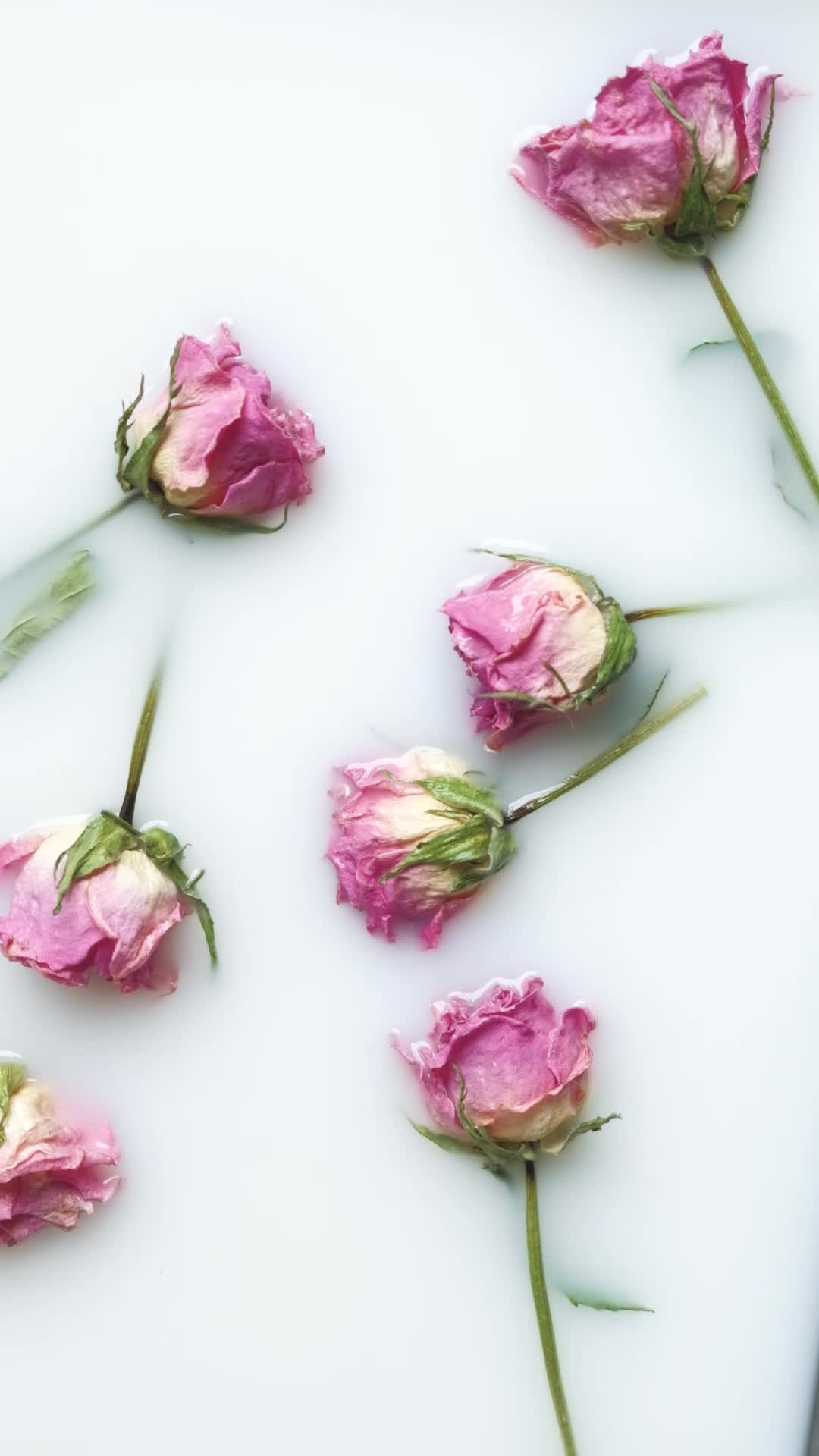 Vintage Flowers Pack