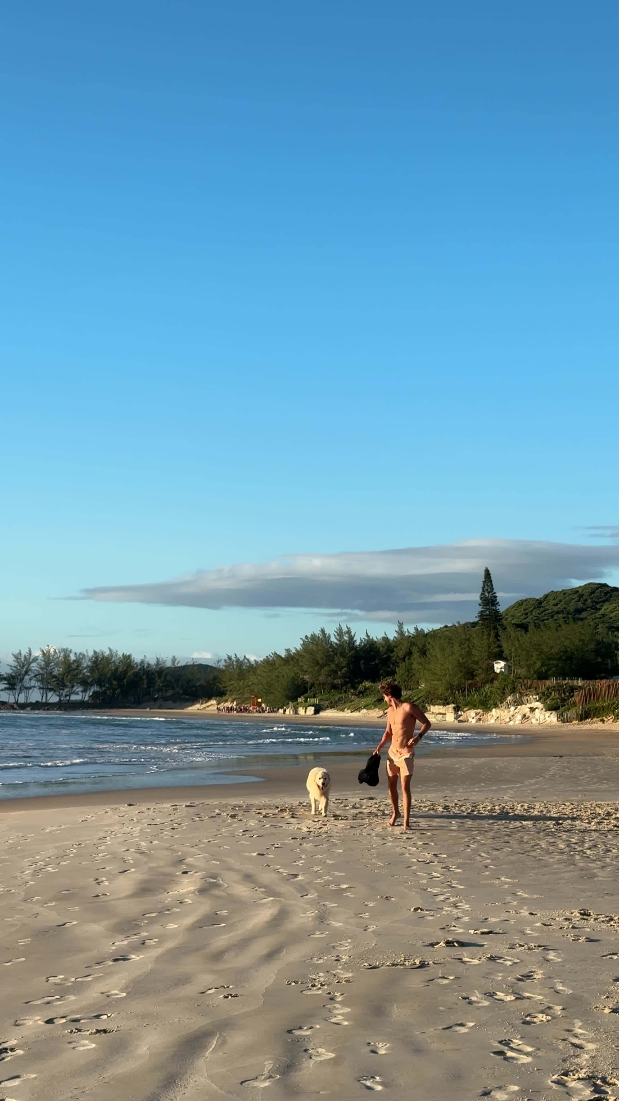 Man's Best Friend Pack