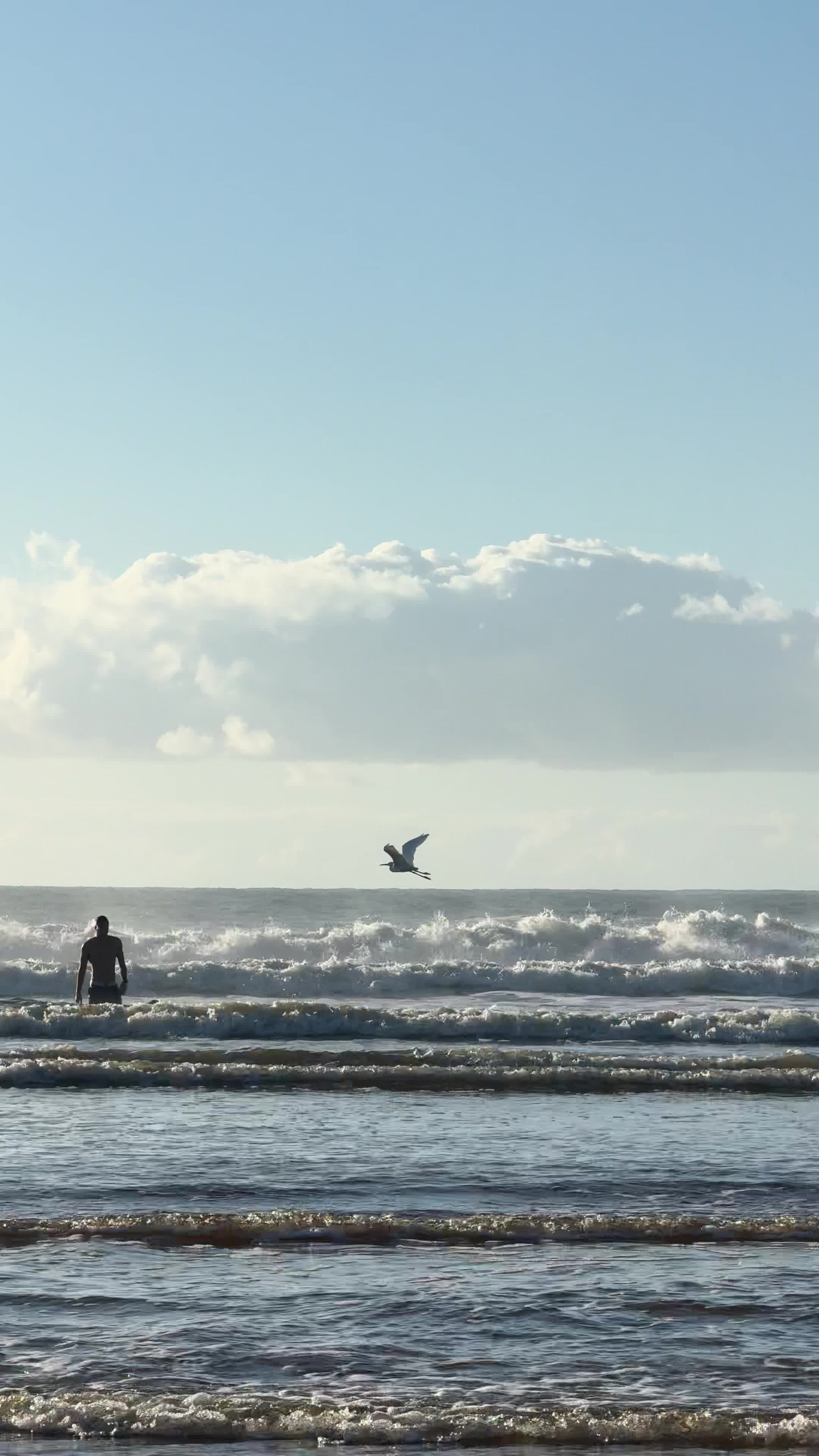 Man's Best Friend Pack