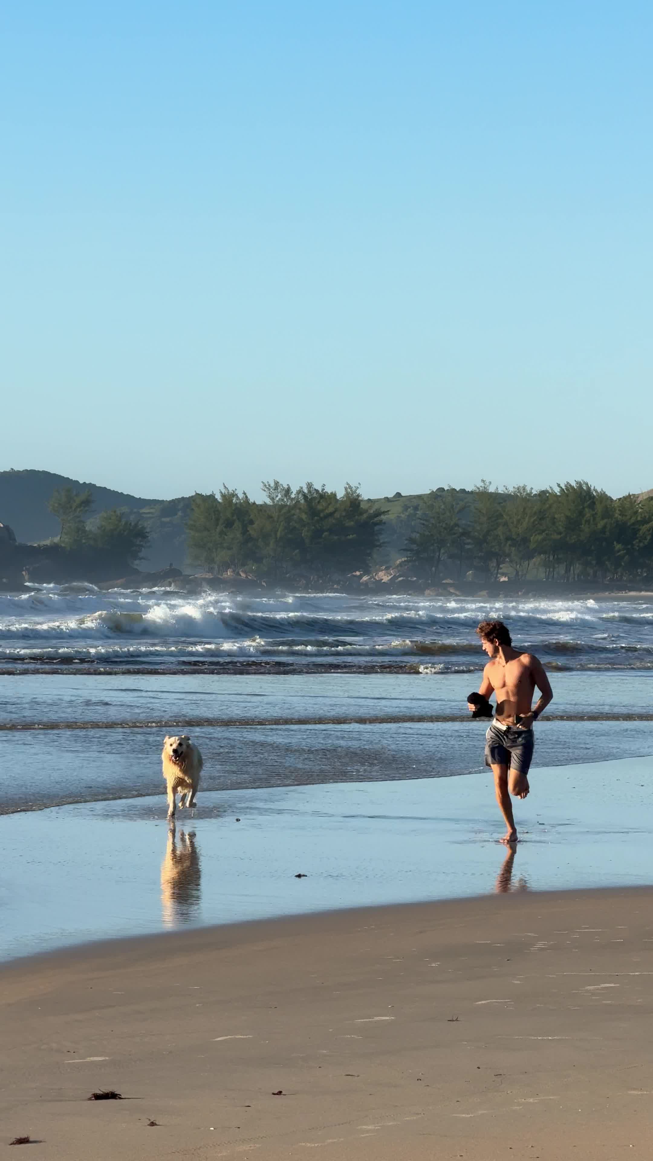 Man's Best Friend Pack