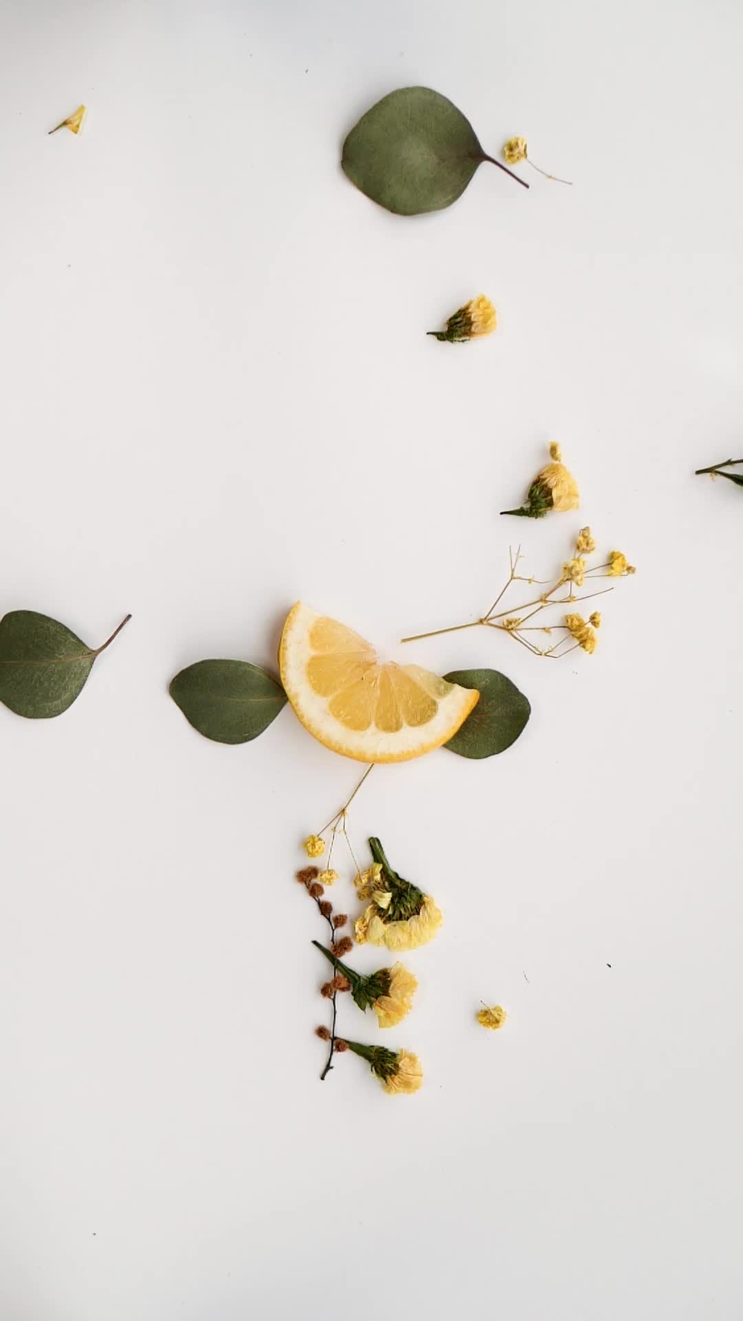 Beauty Botanicals Pack