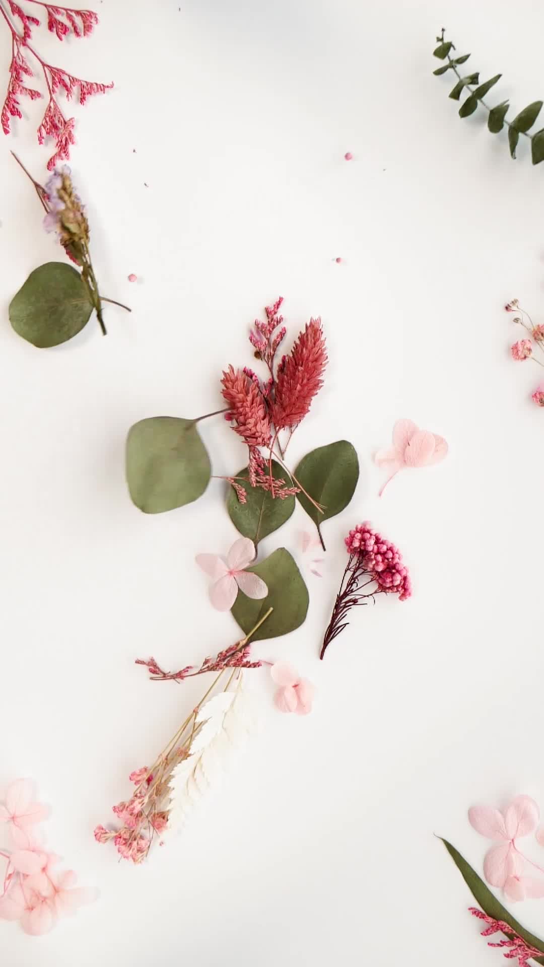 Beauty Botanicals Pack