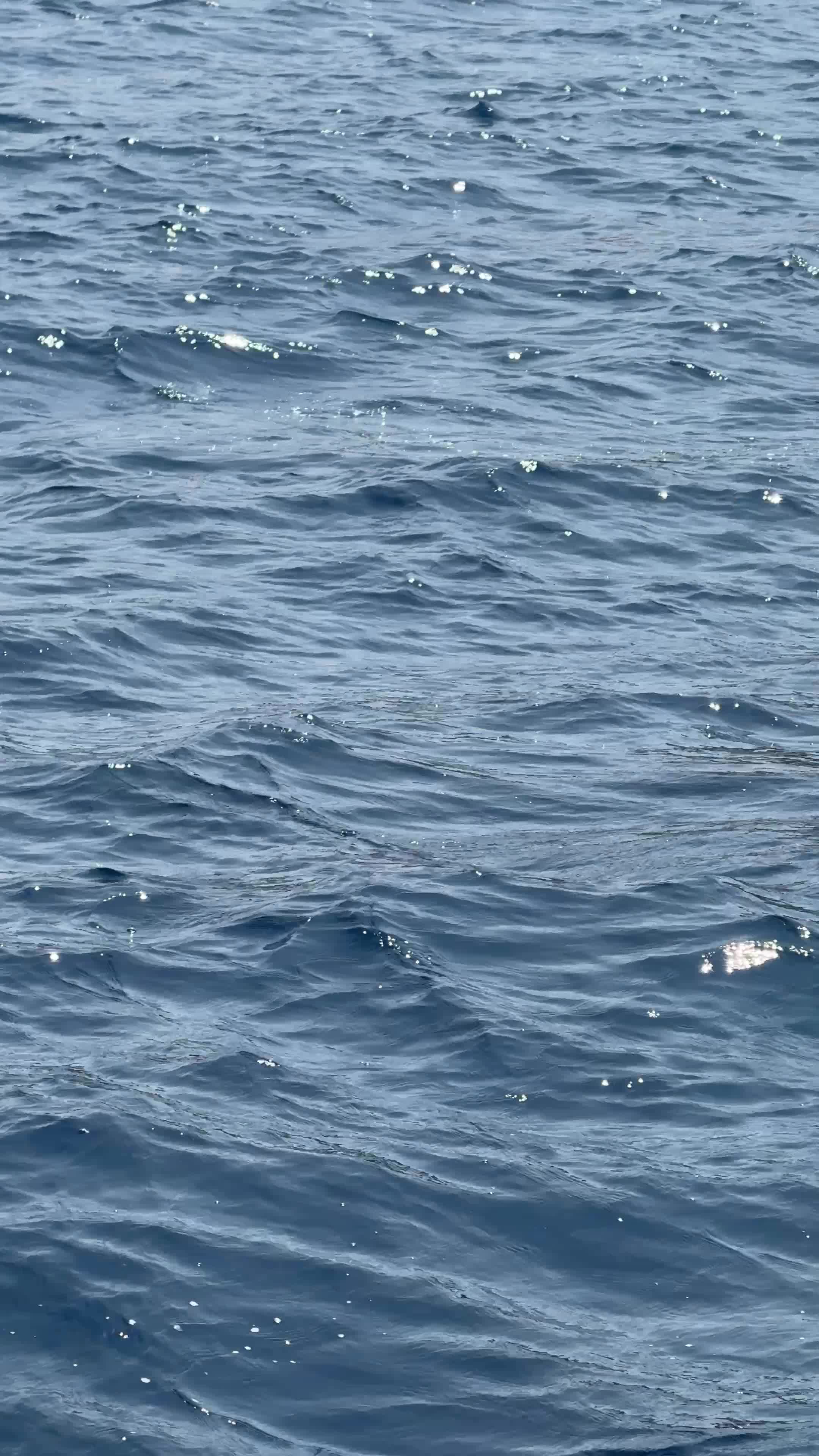 Sardinia at Sea Pack