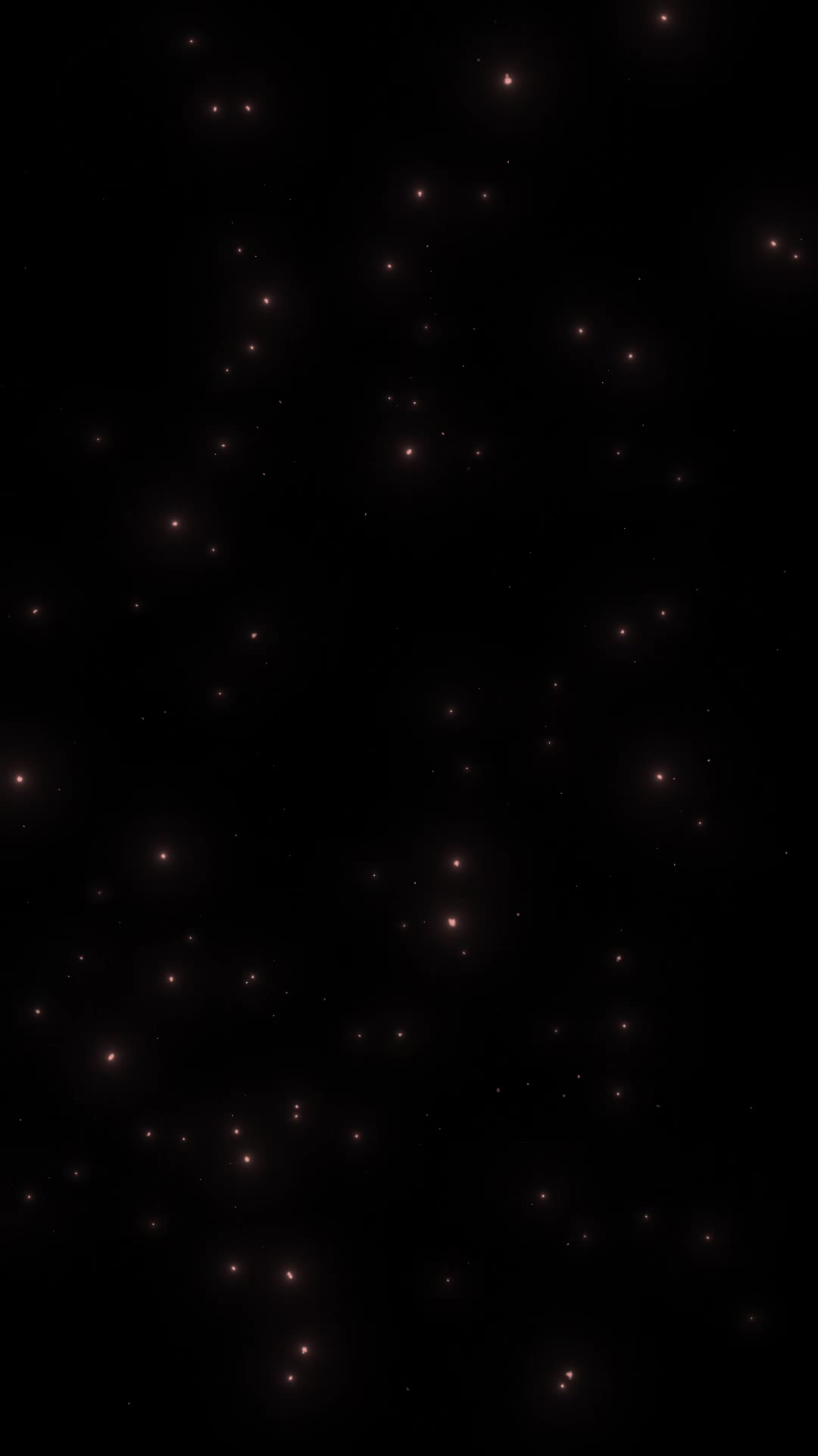 Sparkling Stardust Pack
