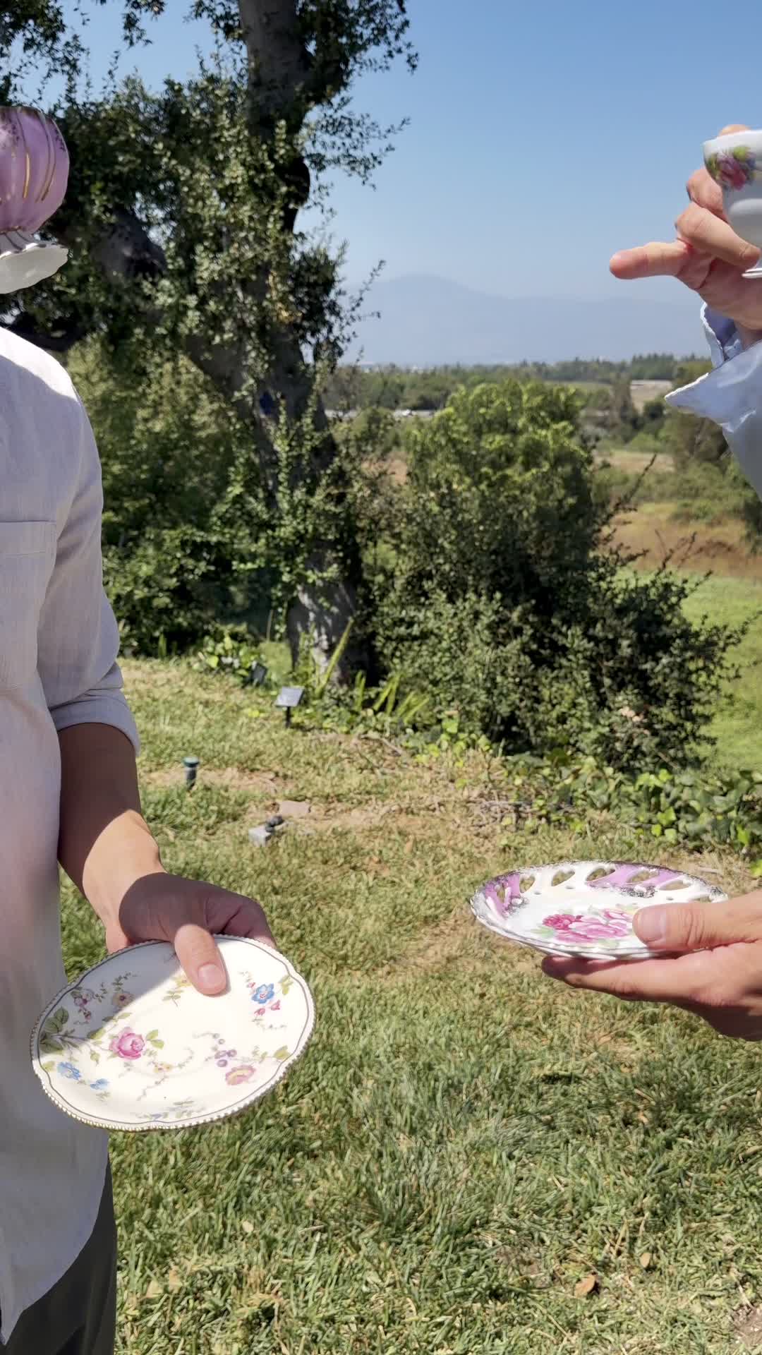 Summer Tea Party Pack