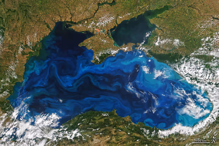 Is Marine Anoxic Carbon Storage Safe?