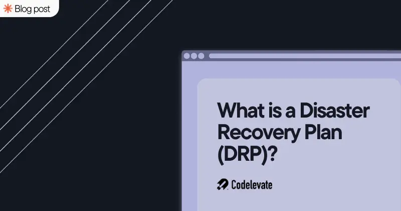 people playing table tennis