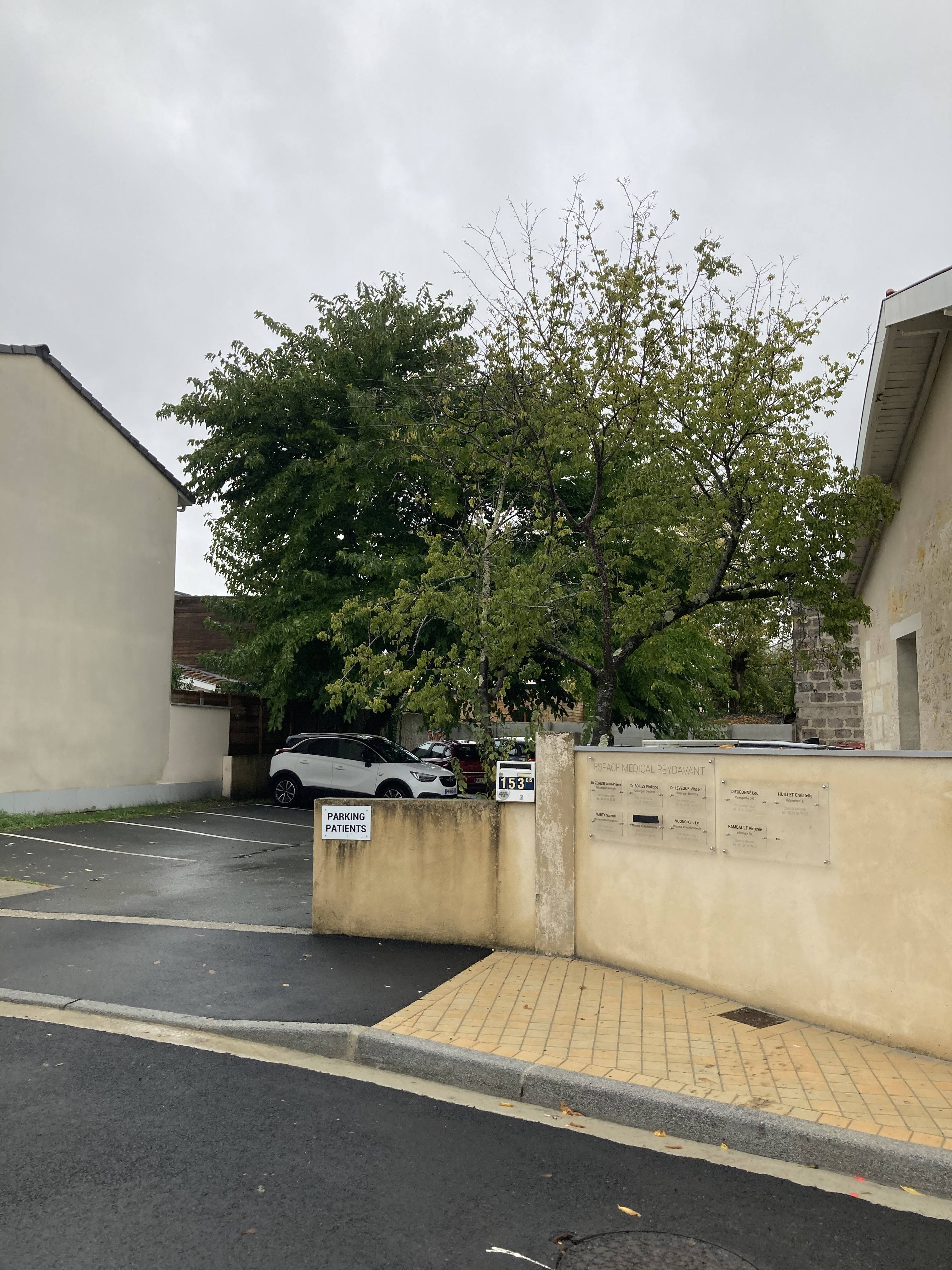 Dr Jean-Pierre Zerbib