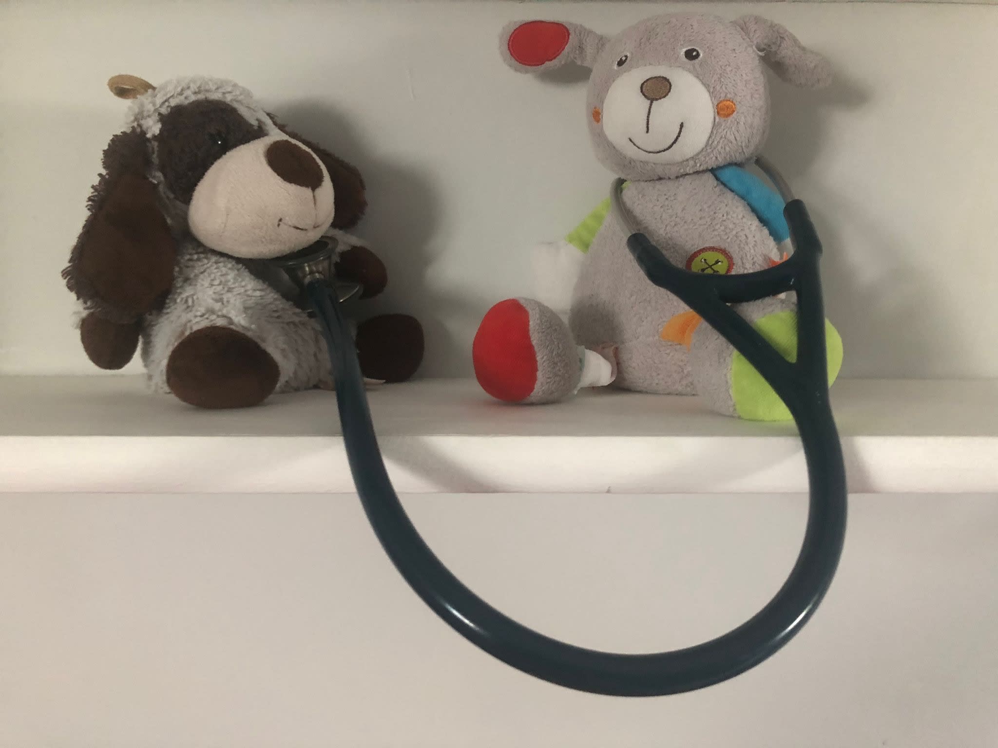 Pauline LAVILLUNIERE