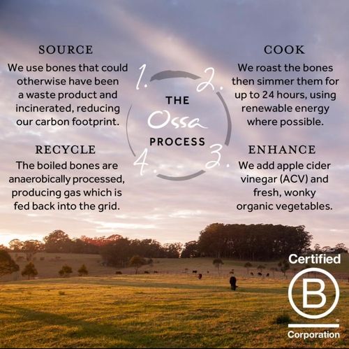 A picture of Ossa Ogranic's process