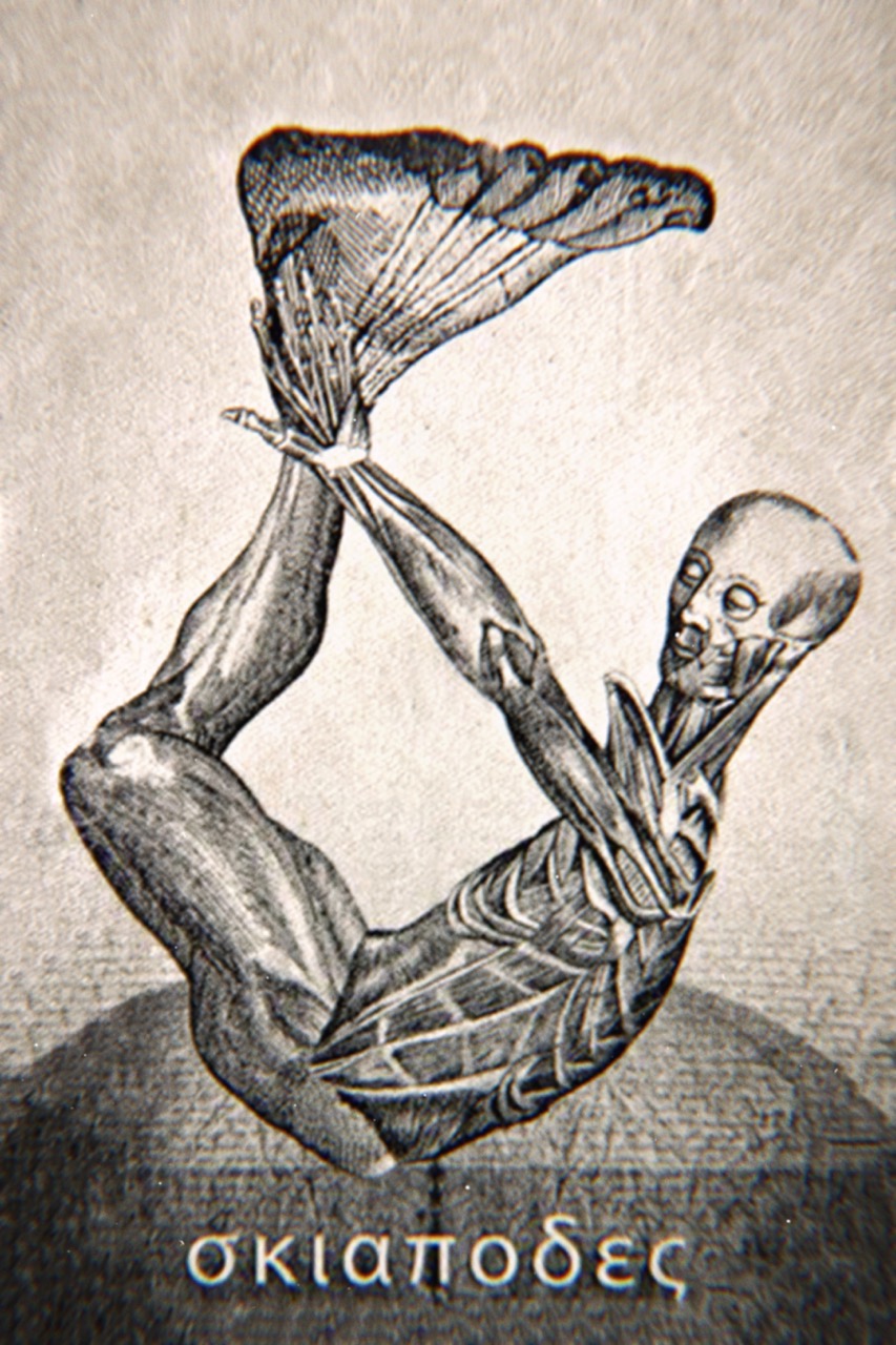 Skiapode_Skiapod_Skiapodes_Skaipods_Sciapode_Sciapod_Sciapodes_Sciapods_08