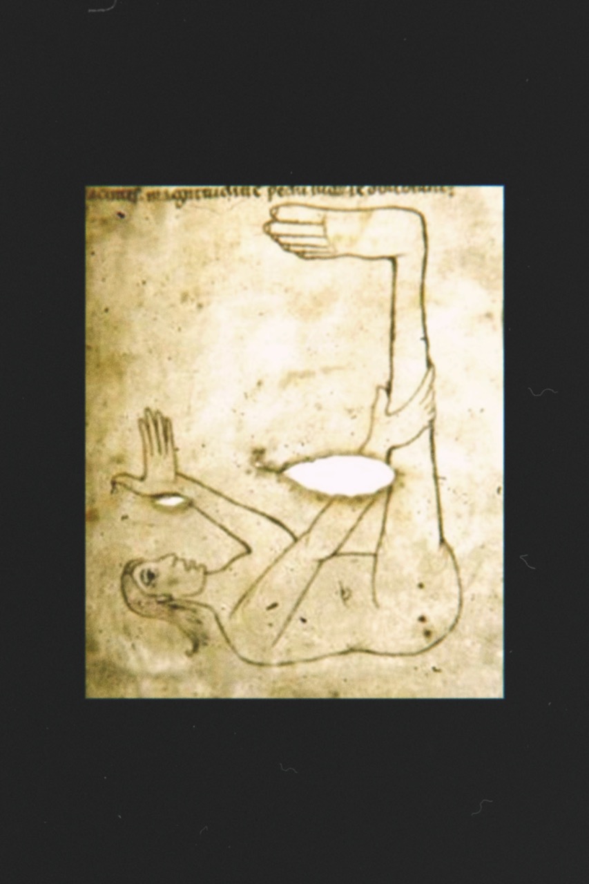 Skiapode_Skiapod_Skiapodes_Skaipods_Sciapode_Sciapod_Sciapodes_Sciapods_19