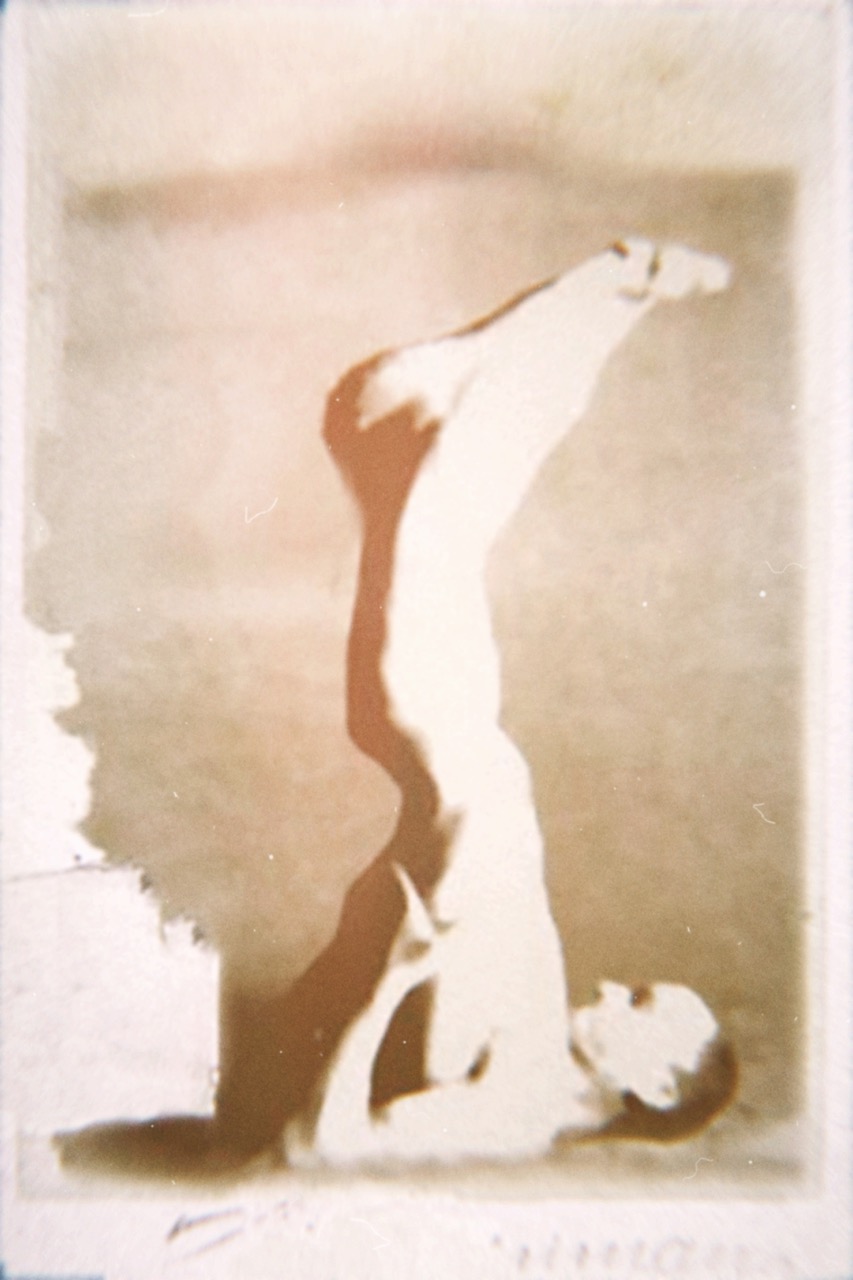 Skiapode_Skiapod_Skiapodes_Skaipods_Sciapode_Sciapod_Sciapodes_Sciapods_21